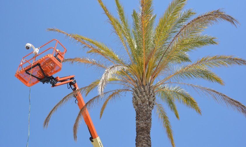 Salou instal·larà sensors a les platges per controlar l'aforament