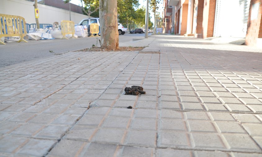 Imatge d'arxiu d'un excrement a la vorera, a la zona del barri del Pinaret