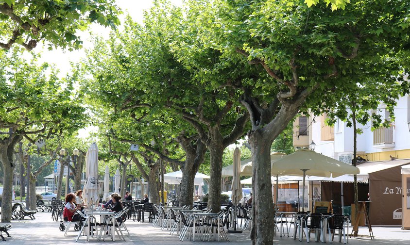 Imatge de terrasses al passeig d'Albert