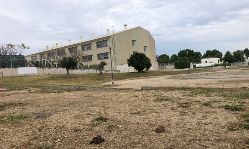 Imatge de diversos excrements d'animals a l'entorn del centre escolar