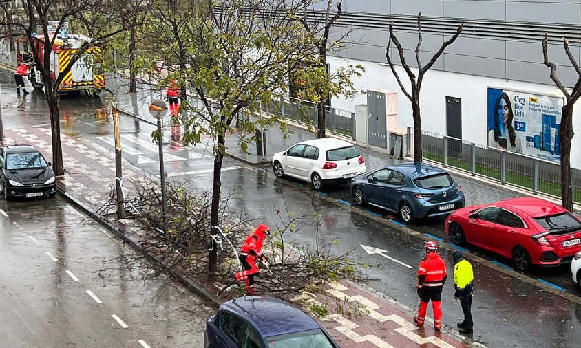 Arbre trencat per l'efecte del vent al carrer de la Via Augusta, ahir al migdia