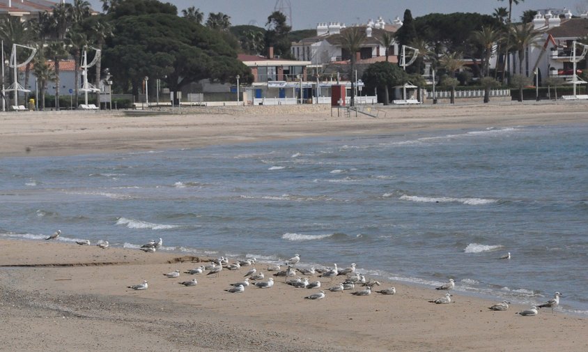 Imatge de la platja del Regueral durant l'estat d'alarma, a principis d'abril de 2020